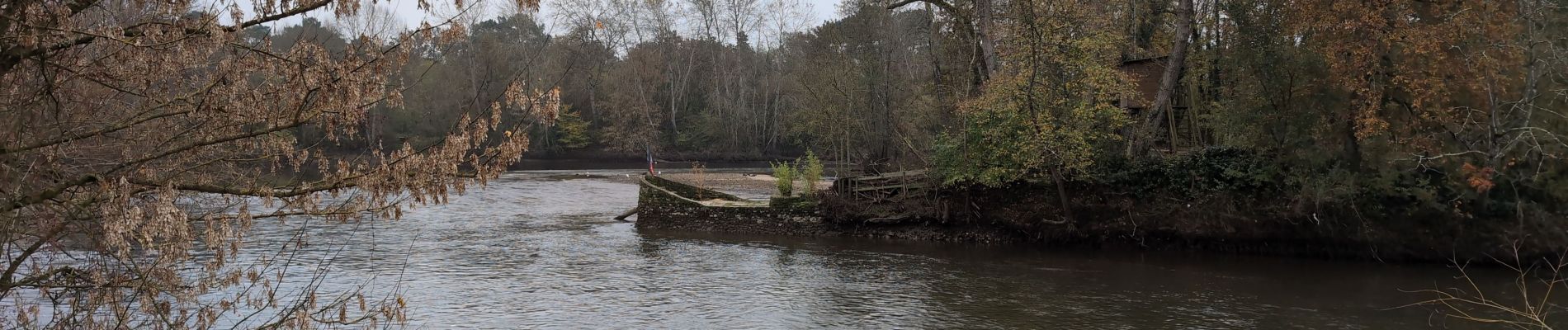 Tour Wandern Civray-de-Touraine - Civray-de-Touraine - Zig Zag Chenonceaux Chisseaux - 26.2km 380m 6h10 (40mn) - 2024 11 16 - Photo