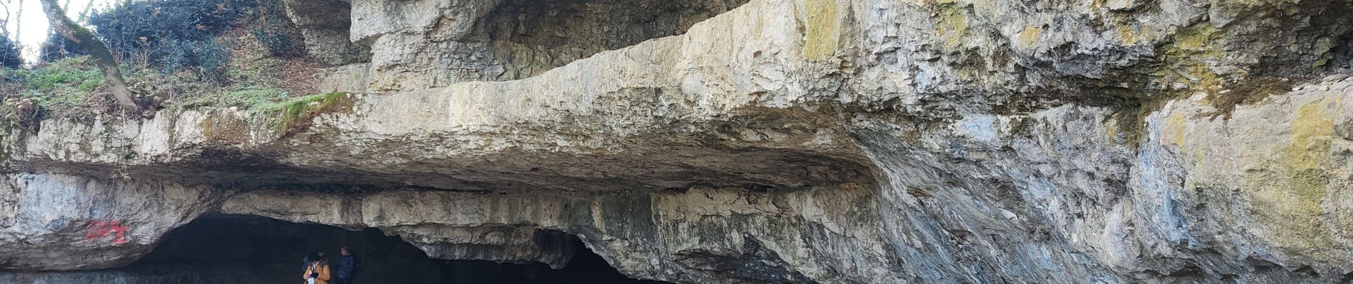 Tocht Stappen Aiguefonde - Grotte de Lacalm André  - Photo