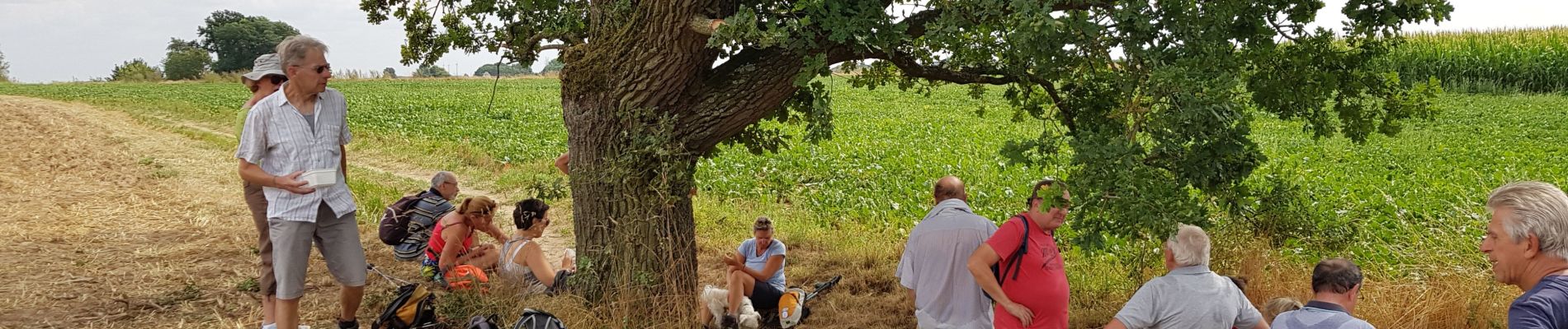 Tocht Stappen Villers-la-Ville - VLVille 0822 - Photo