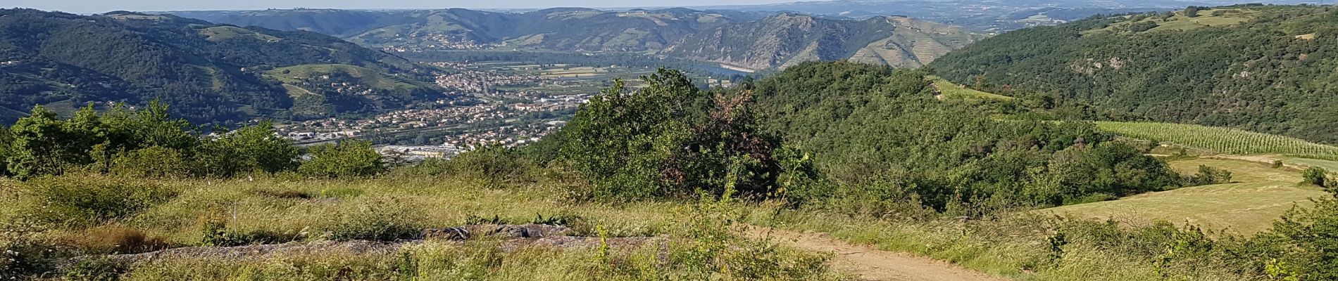 Randonnée Marche nordique Tournon-sur-Rhône - Boyon - Photo