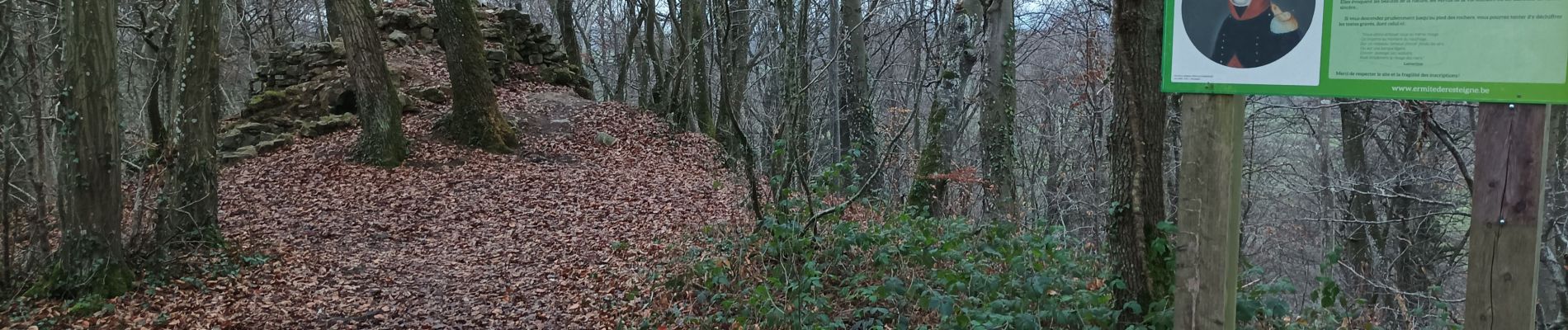 Randonnée Marche Rochefort - Lesse resteigne pupitre ermitage  - Photo