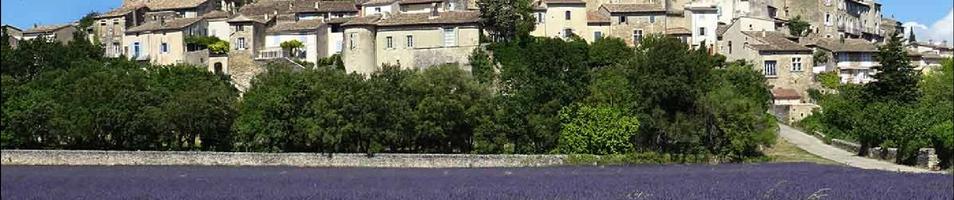 Randonnée Marche Grignan - Grignan Les Montines 9km5 - Photo