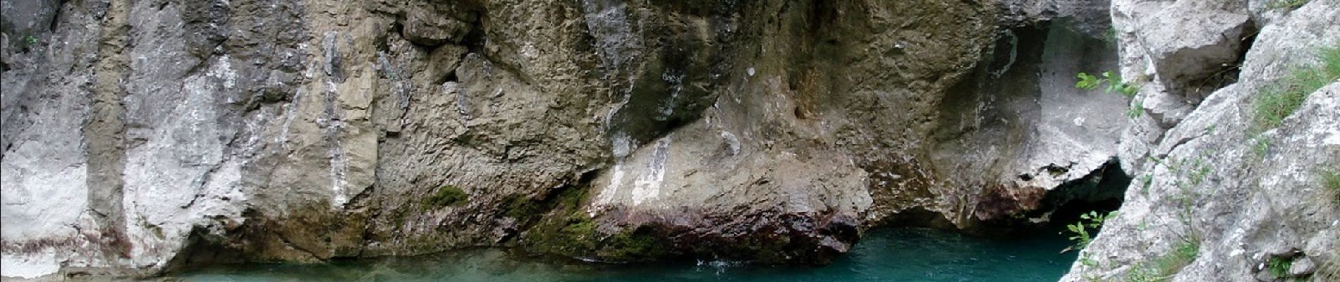 Trail Walking La Palud-sur-Verdon - Verdon Sentier Blanc Martel - Photo