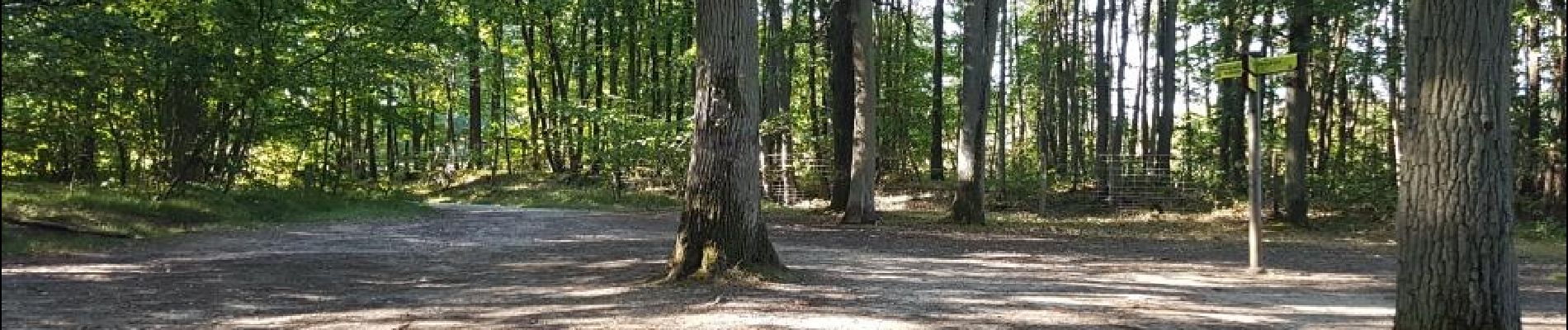 Tour Wandern Milon-la-Chapelle - Yvelines_Milon-La-Chapelle=>Chemins_Beauregard&Jean-Racine=>Chevreuse - Photo