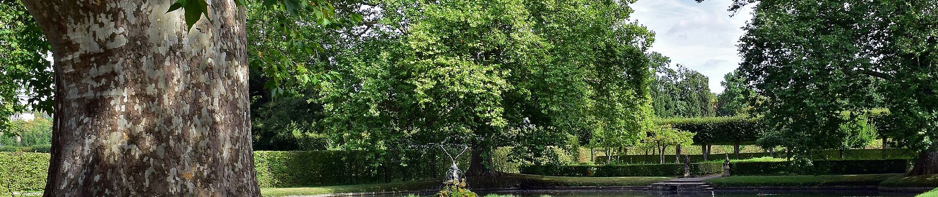 Tour Zu Fuß Veitshöchheim - Würzburgs Stadtgrenze, 3. Teil - Photo