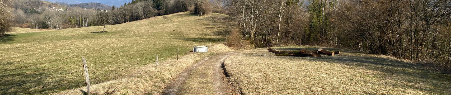 Tour Wandern Saint-Laurent-du-Pont - Le balcon de Saint Laurent  - Photo