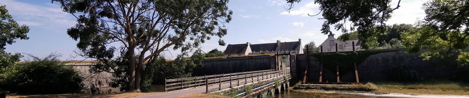 Randonnée Vélo de route Réville - REVILLE SAINT VAST - Photo