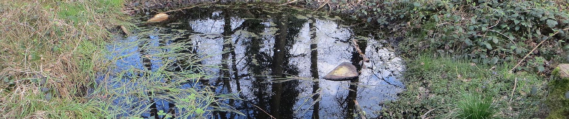 Randonnée A pied Nettetal - Breyller-Seerunde - Photo