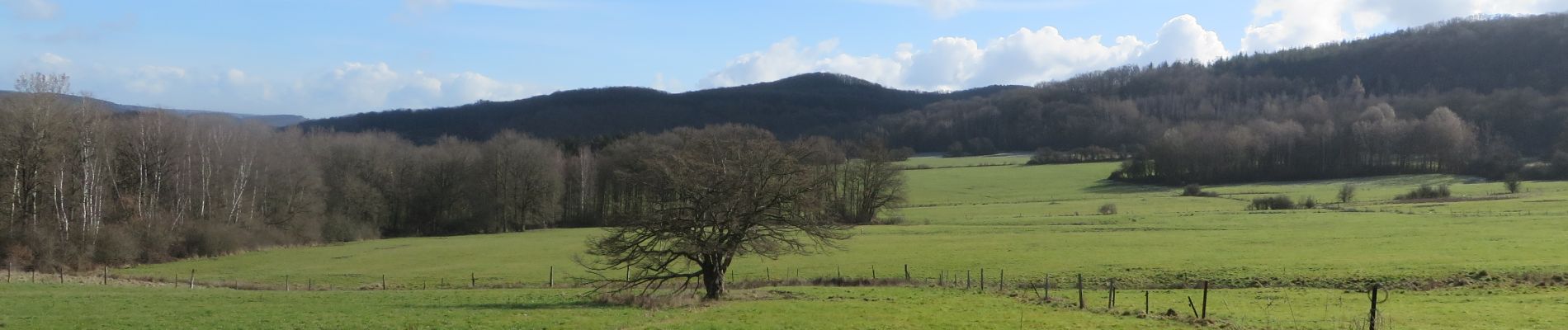 Tour Wandern Viroinval - Viroinval Randonnée - Photo