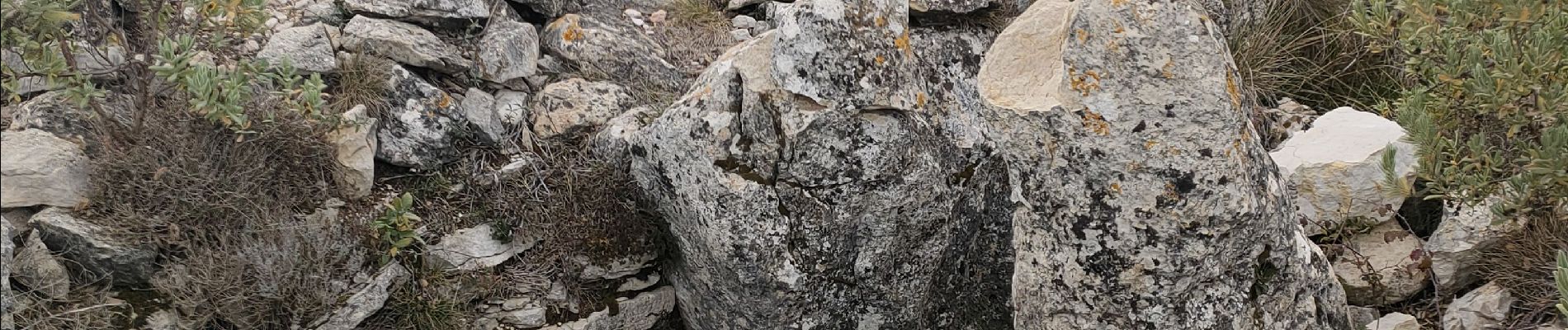 Trail Walking Spéracèdes - cabris croix et dolmen  - Photo