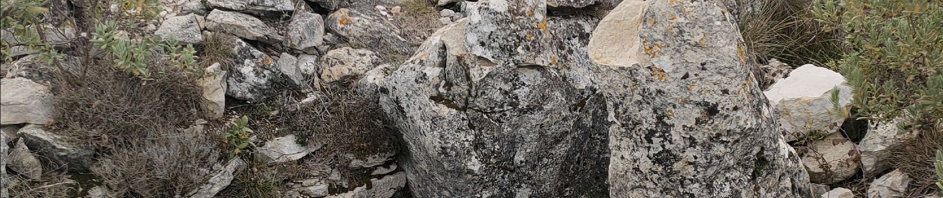 Tocht Stappen Spéracèdes - cabris croix et dolmen  - Photo