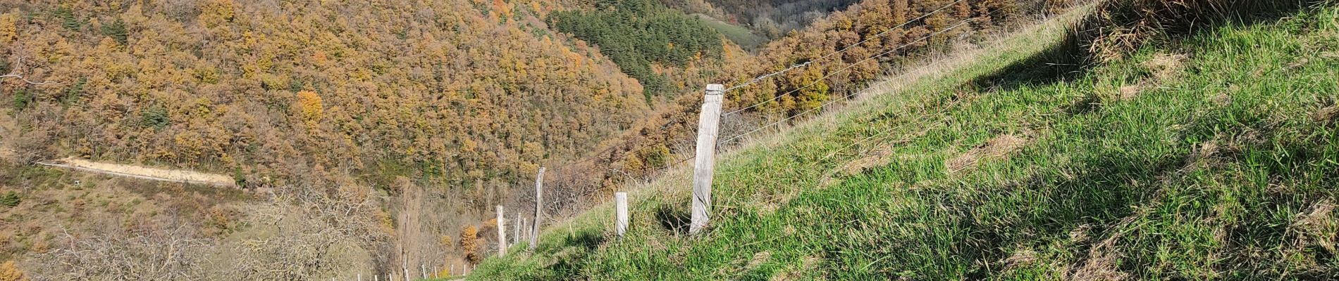 Tour Wandern Pont-en-Royans - reco pont en Royans st André  - Photo