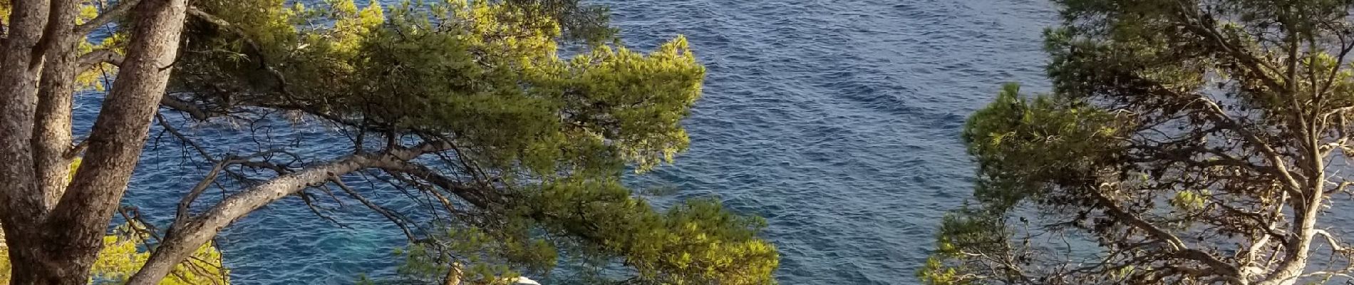 Tocht Stappen Bandol - Bandol-Port d'Alon - Photo