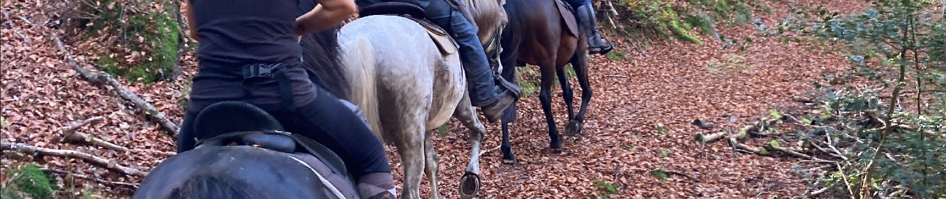 Trail Horseback riding Saint-Quirin - Camping st quirin 28 10 24 - Photo