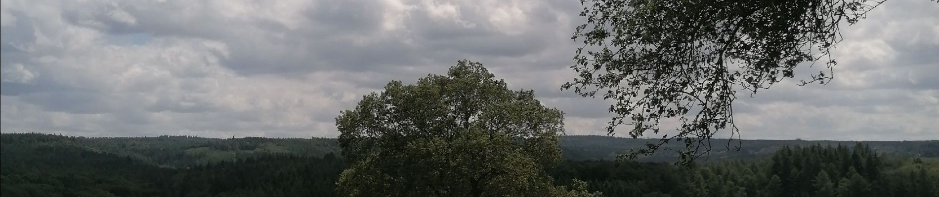 Point d'intérêt Jalhay - vue sur la forêt  - Photo