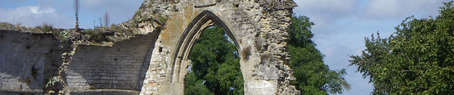 Tour Zu Fuß Châteauneuf - Sentier du Petit Moulin - Photo