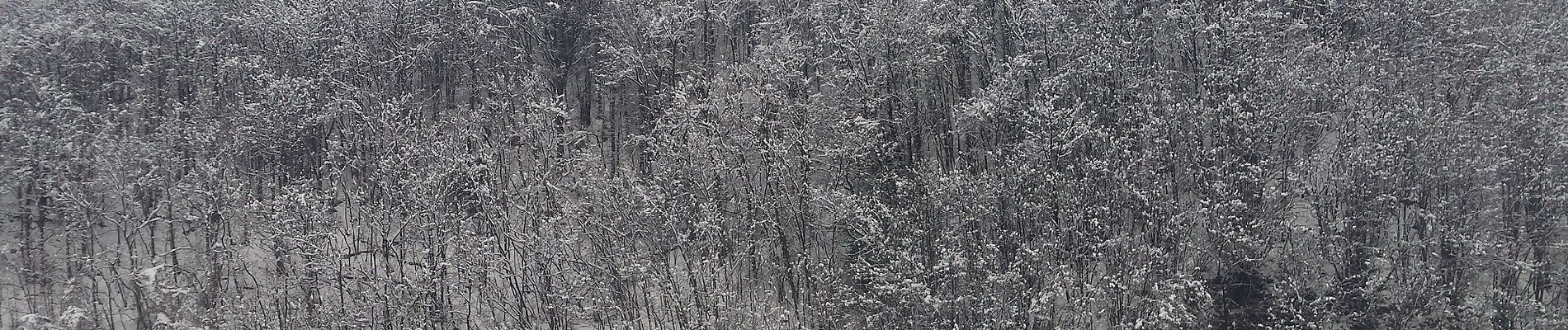 Percorso A piedi Masone - Masone - Cascina Laiasso - Pratorondanino - Photo