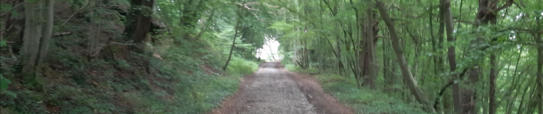 Tocht Stappen Hoei - Vallée de la Solière - Photo