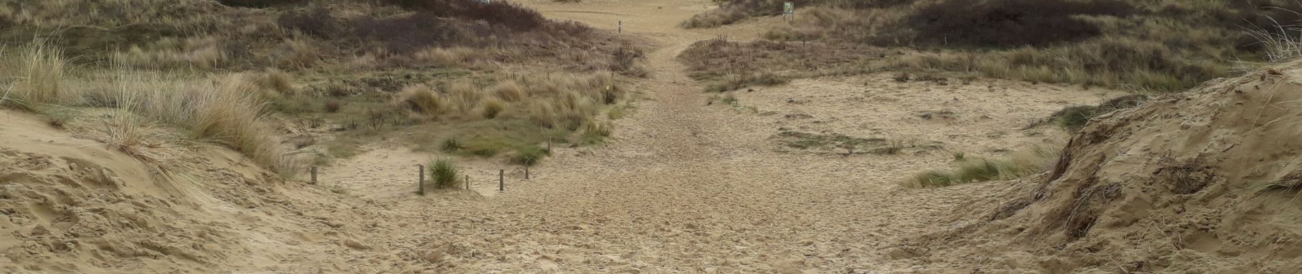 Excursión Senderismo De Panne - west hoek - Photo