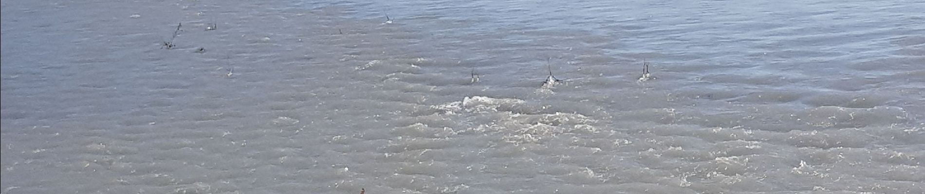 Randonnée Marche Manosque - lac de pêche  - Photo