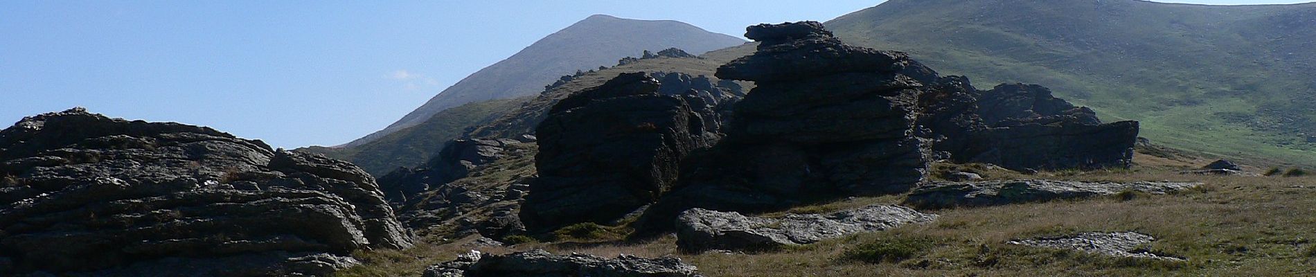 Randonnée A pied Inconnu - Halta Sebeș Olt - Cabana Suru - Curmătura Surului - Photo