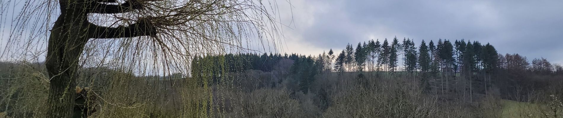 Tocht Stappen Onhaye - rando ornitho foy 28-02-2024 - Photo