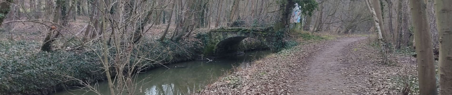 Trail Walking Longjumeau - Les berges de l'Orge - Photo