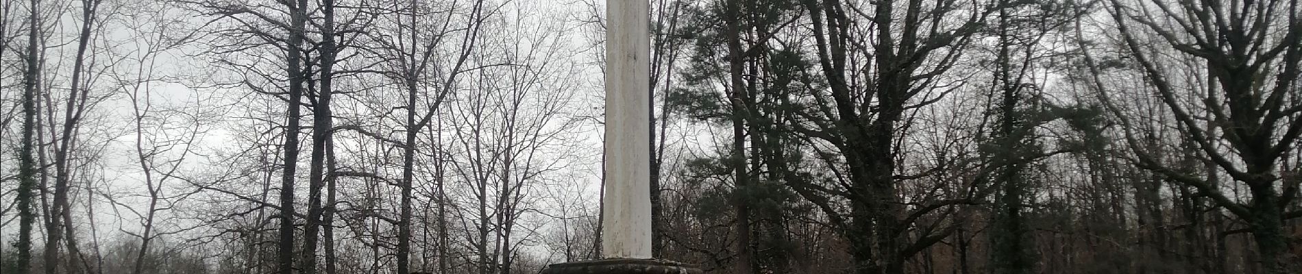 Tour Wandern Verrières - Verrières - Photo