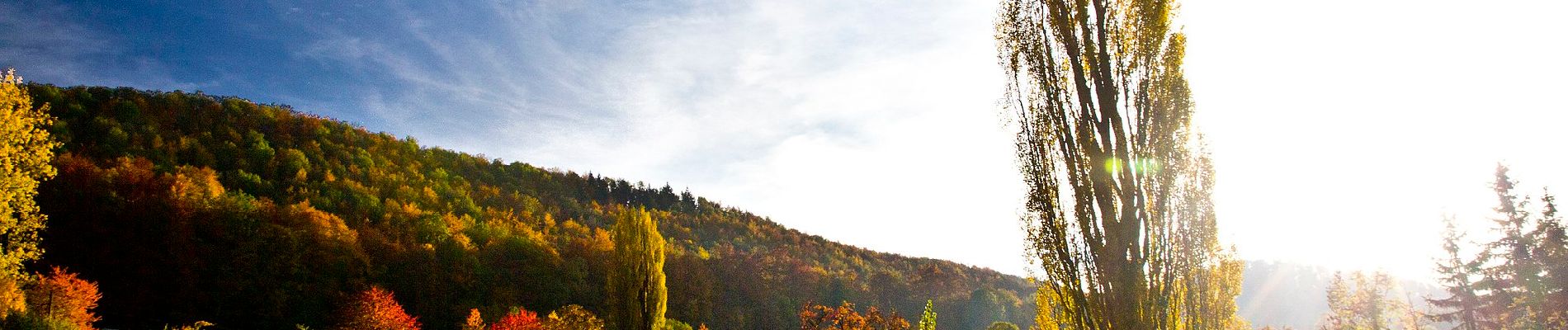 Tour Zu Fuß Gomadingen - Häringen - Neidlingen - Hepsisau - Photo