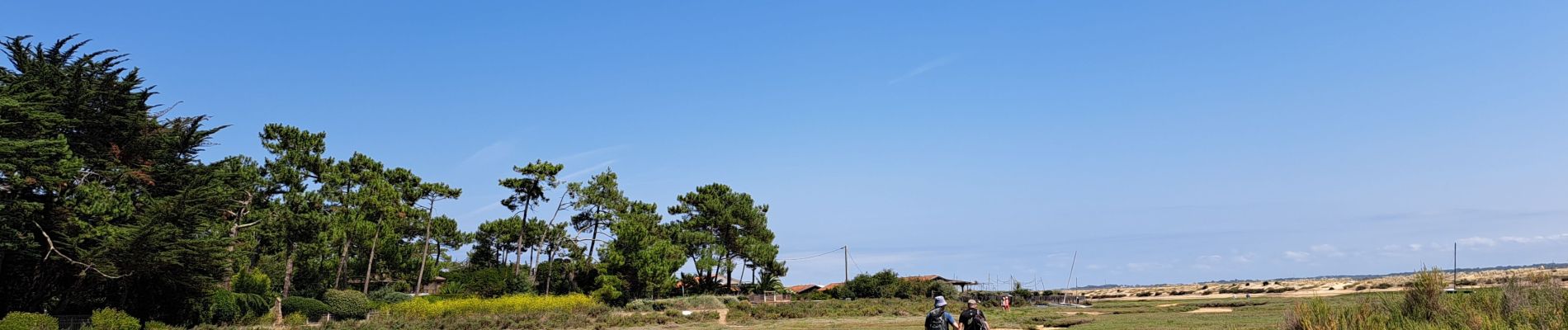 Percorso Marcia Lège-Cap-Ferret - boucle - Photo