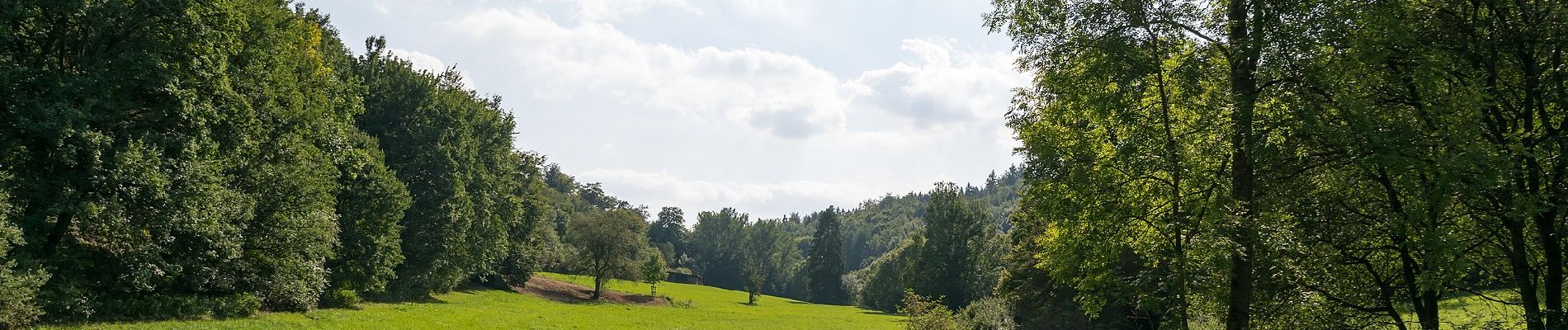 Tocht Te voet Bad Wünnenberg - Futterloch - Photo