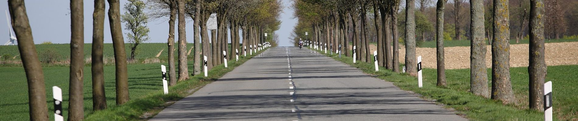 Tocht Te voet Borchen - Borchen Rundweg A3 - Photo