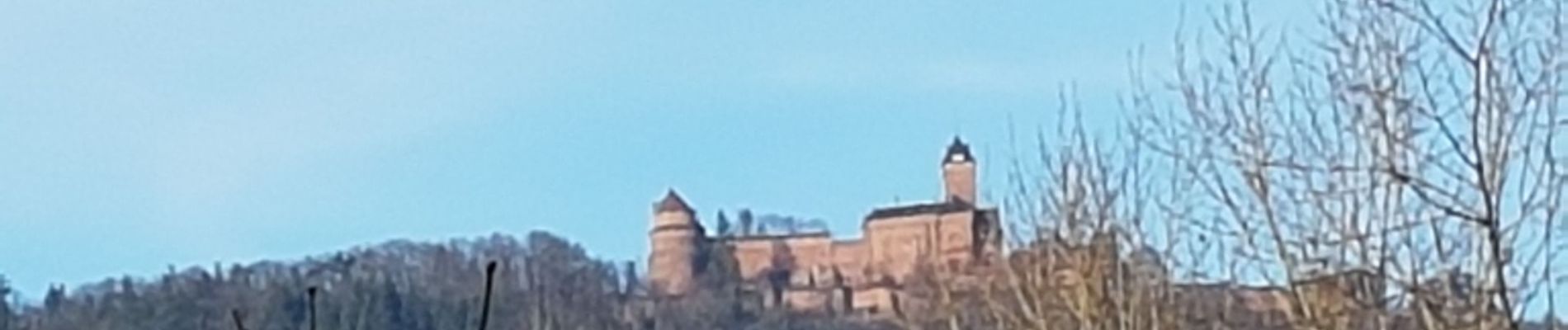 Tour Wandern Sankt Pilt - St Hippolyte - Bergheim - château Reichenberg - Photo