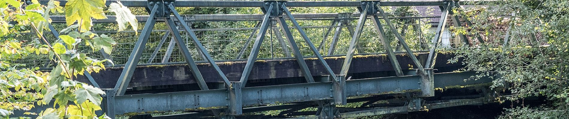 Tour Zu Fuß Wolfenschiessen - Kapellenweg - Photo