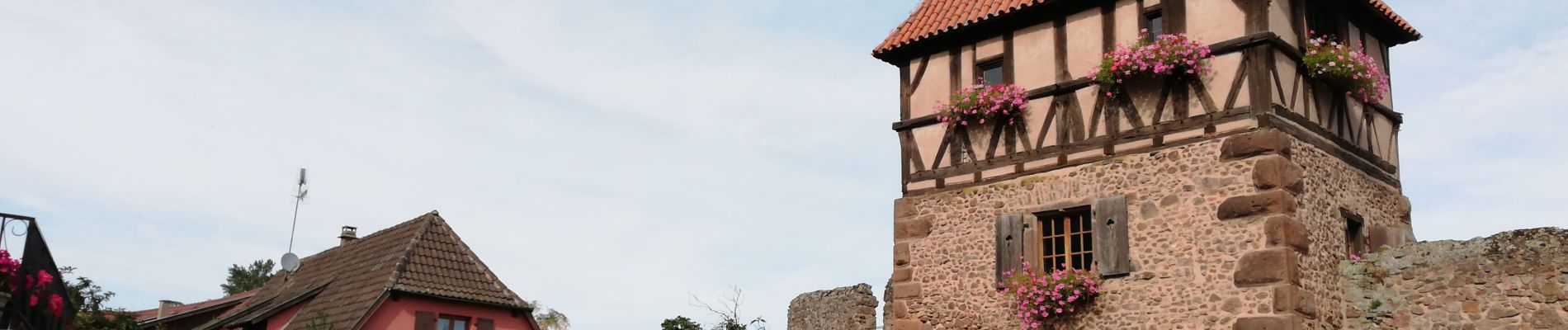 Randonnée Marche Châtenois - Montagne des Singes et Volerie des Aigles - Photo