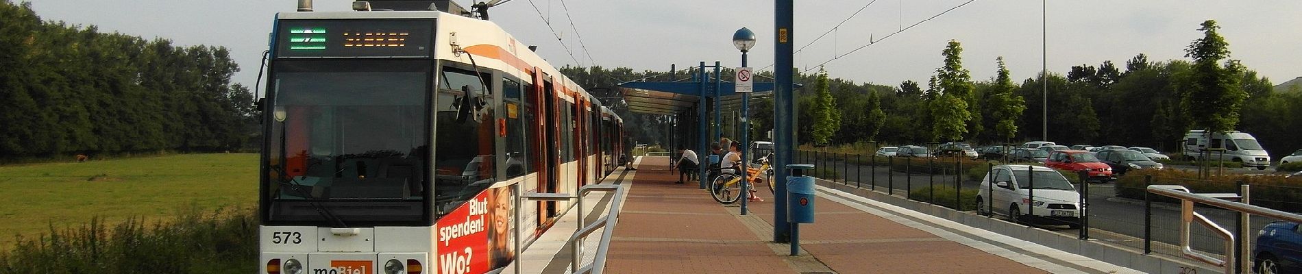 Tocht Te voet Onbekend - Sparrenweg - Photo