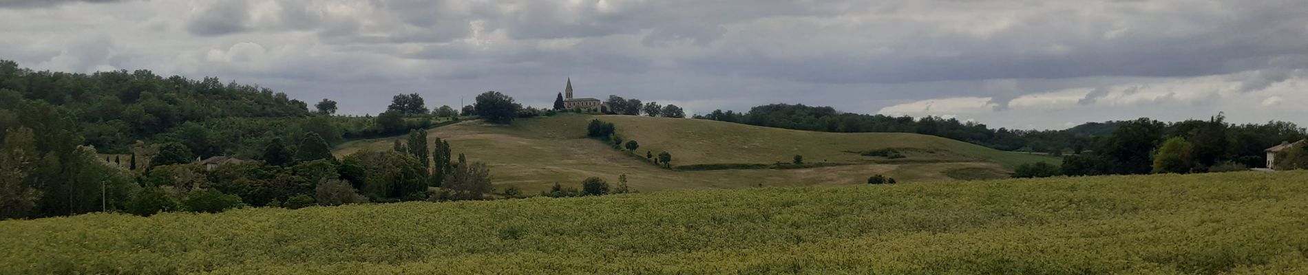 Excursión Senderismo Saint-Gauzens - Briatexte le sentier des Crêtes  - Photo