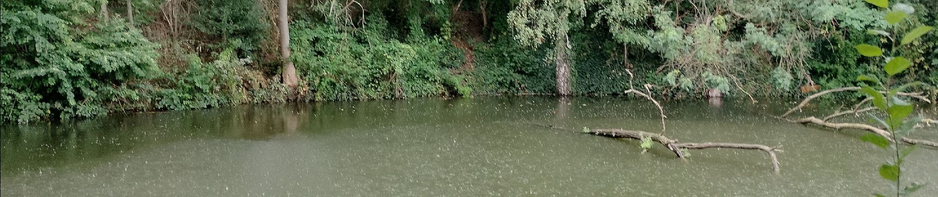 Tocht Stappen Luik - Boucle Fragnée - Chênée - Streupa - Angleur - Fragnée - Photo