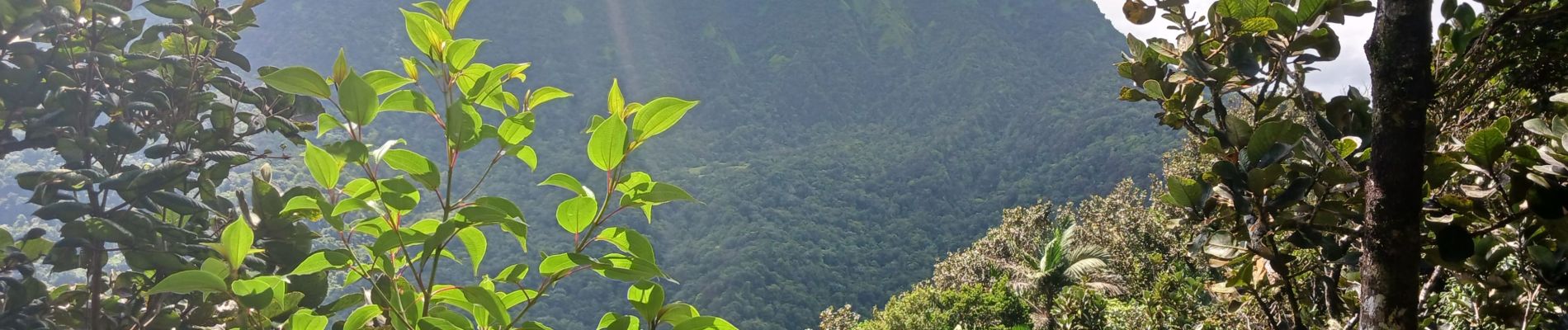 Tour Wandern Le Lorrain - Le defi - Photo