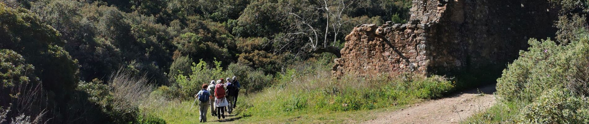 Excursión Senderismo Hyères - Boucle au dessus des Borrels - Photo