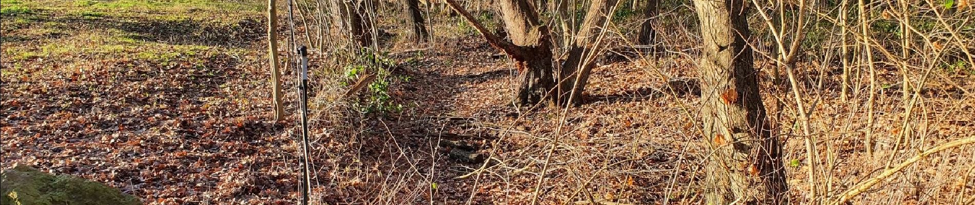 Tocht Te voet Wenzendorf - Wander-Verbindung Buchholz-Drestedt - Photo