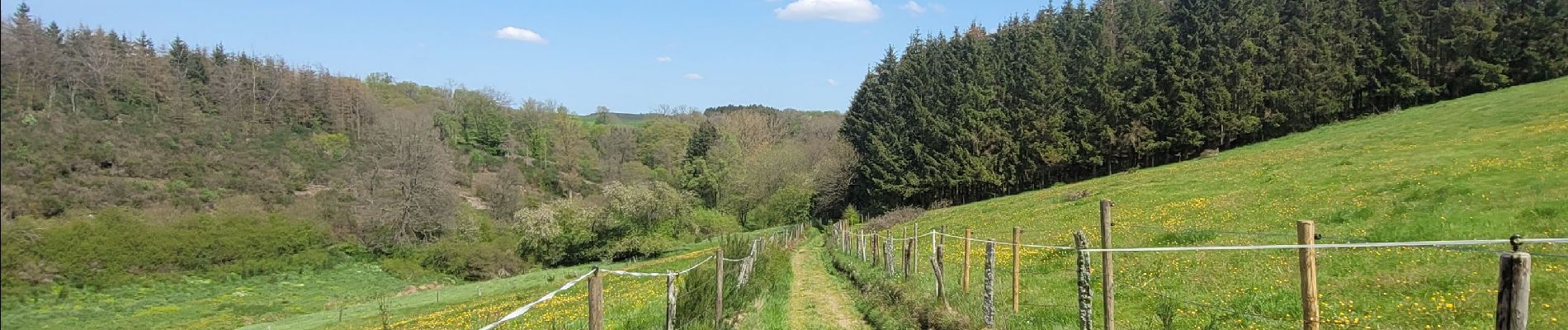 Randonnée Marche Fauvillers - rando honville 18-05-2023 - Photo