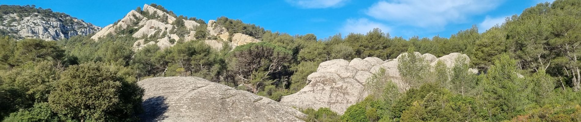 Tour Wandern Évenos - Grès de Ste Anne retour carrière by DAL - Photo