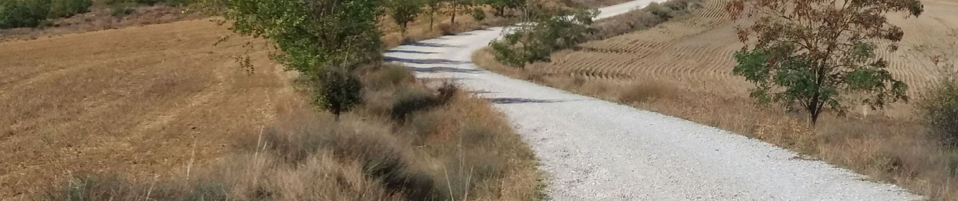 Randonnée Marche Cervatos de la Cueza - San Nicolas  - Photo