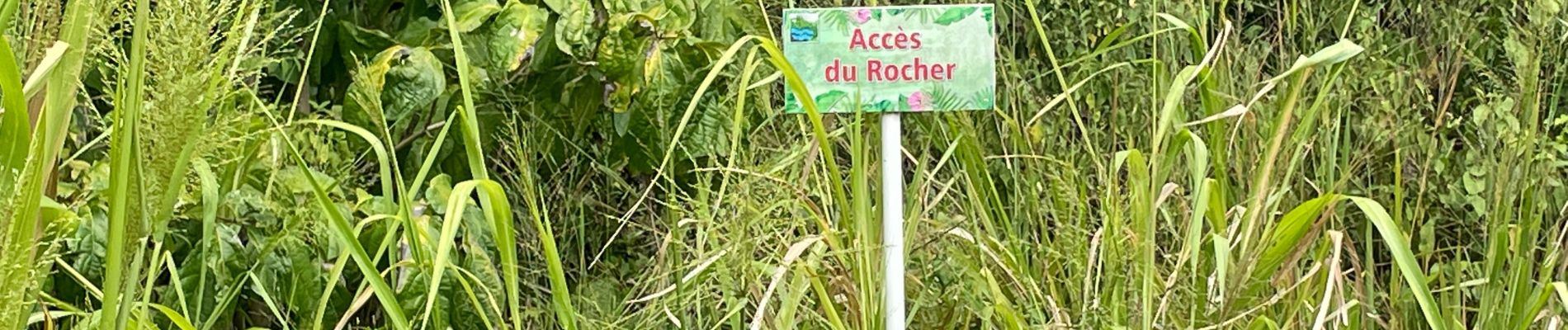 Excursión Senderismo Le François - Autour du Rocher LECLERC - Photo