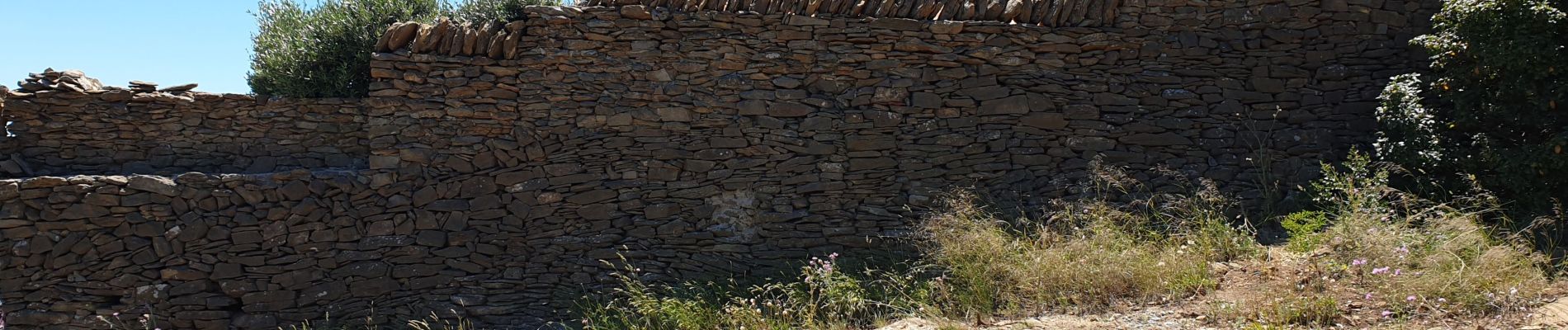 Tour Wandern La Ciotat - le bec de l'aigle - Photo