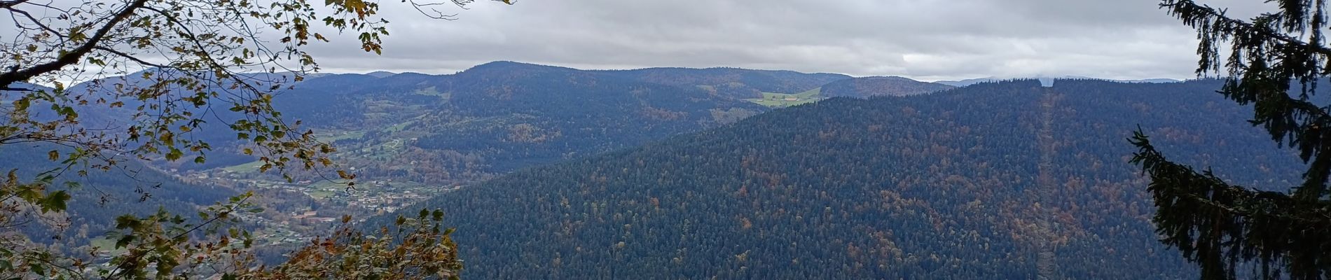 Randonnée Marche Saulxures-sur-Moselotte - Circuit Zéfeut - haut du comte - Photo