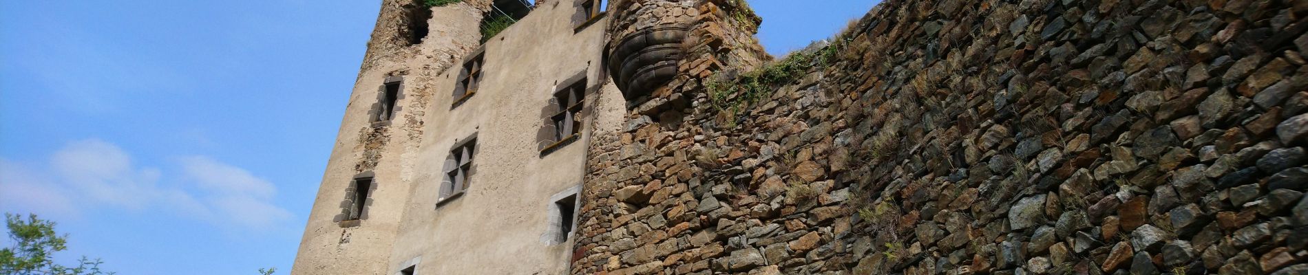 Tocht Stappen Molompize - Cantal - Molompize - Aurouze et Suc de Védrines - 17.7km 770m 7h05 - 2019 07 02 - Photo