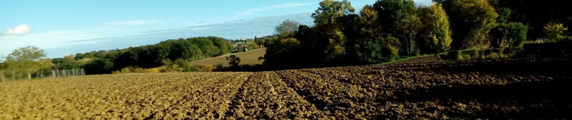 Trail Walking Saint-Pierre-de-Lages - saint pierre 2_11_21 - Photo