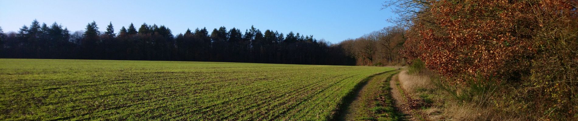 Randonnée Marche Dame-Marie-les-Bois - Dame-Marie-les-Bois - PR La ronde des Donnamariens - 7.4km 65m 1h35 - 2023 12 16 - Photo